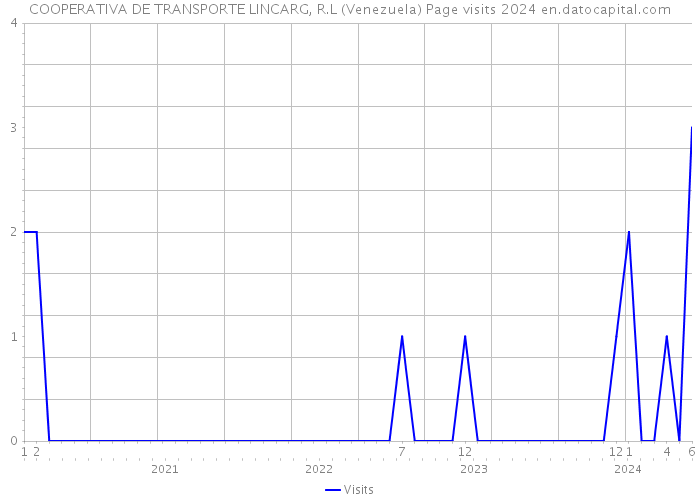 COOPERATIVA DE TRANSPORTE LINCARG, R.L (Venezuela) Page visits 2024 