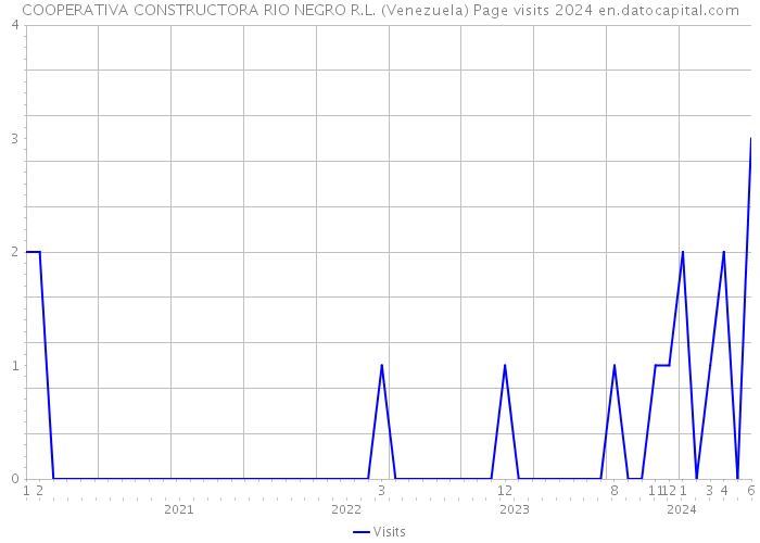 COOPERATIVA CONSTRUCTORA RIO NEGRO R.L. (Venezuela) Page visits 2024 