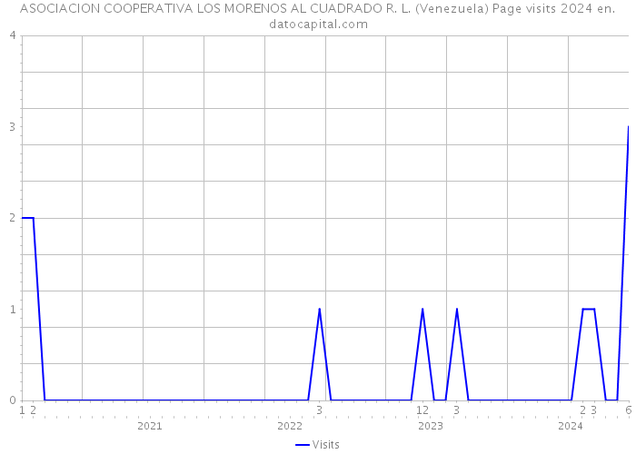 ASOCIACION COOPERATIVA LOS MORENOS AL CUADRADO R. L. (Venezuela) Page visits 2024 