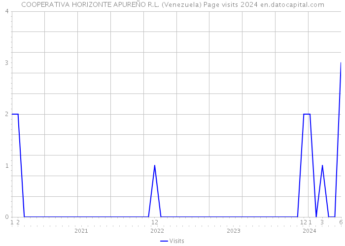 COOPERATIVA HORIZONTE APUREÑO R.L. (Venezuela) Page visits 2024 