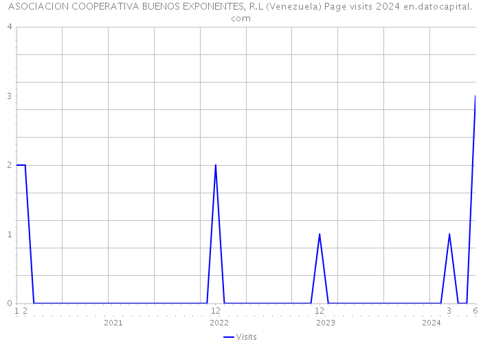 ASOCIACION COOPERATIVA BUENOS EXPONENTES, R.L (Venezuela) Page visits 2024 