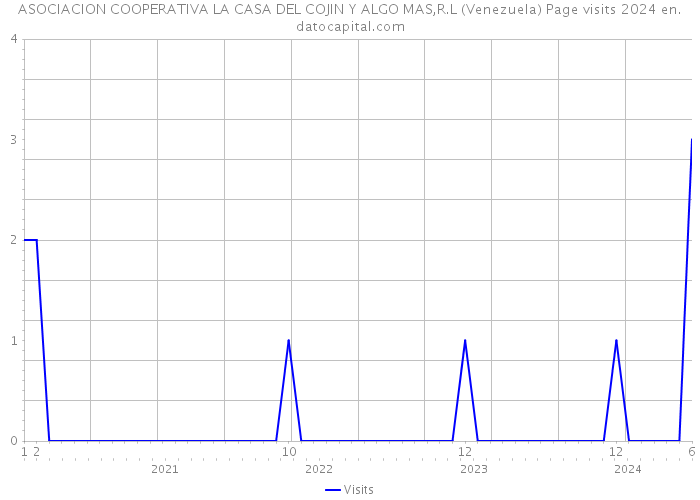 ASOCIACION COOPERATIVA LA CASA DEL COJIN Y ALGO MAS,R.L (Venezuela) Page visits 2024 