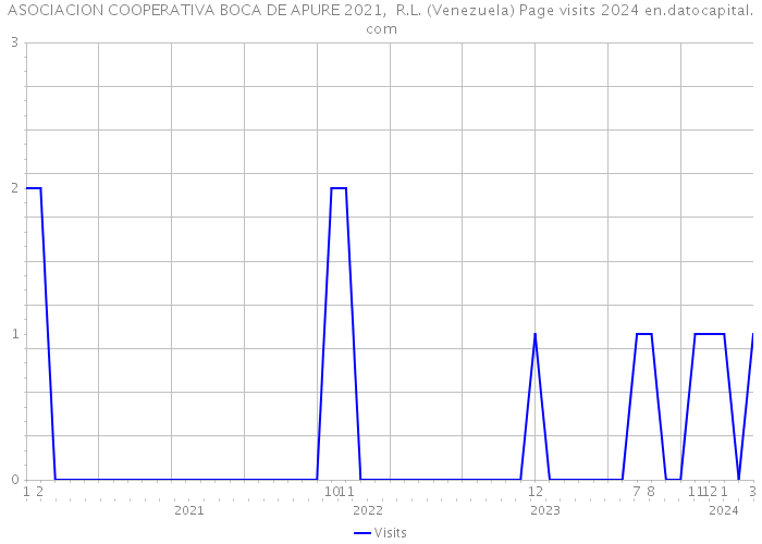 ASOCIACION COOPERATIVA BOCA DE APURE 2021, R.L. (Venezuela) Page visits 2024 