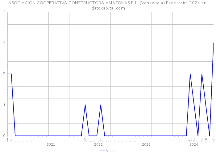 ASOCIACION COOPERATIVA CONSTRUCTORA AMAZONAS R.L. (Venezuela) Page visits 2024 