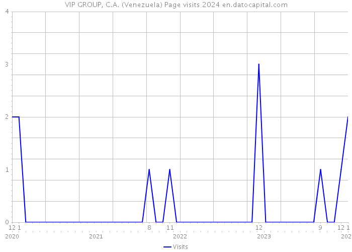 VIP GROUP, C.A. (Venezuela) Page visits 2024 