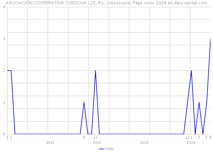 ASOCIACIÓN COOPERATIVA CORDOVA 125, R.L. (Venezuela) Page visits 2024 