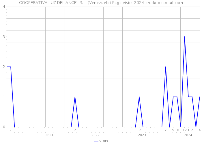 COOPERATIVA LUZ DEL ANGEL R.L. (Venezuela) Page visits 2024 