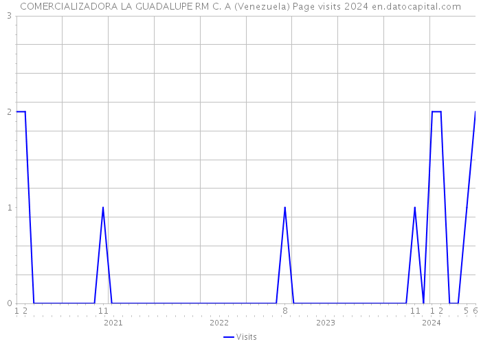 COMERCIALIZADORA LA GUADALUPE RM C. A (Venezuela) Page visits 2024 