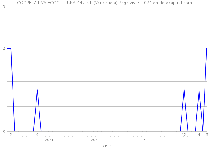 COOPERATIVA ECOCULTURA 447 R.L (Venezuela) Page visits 2024 