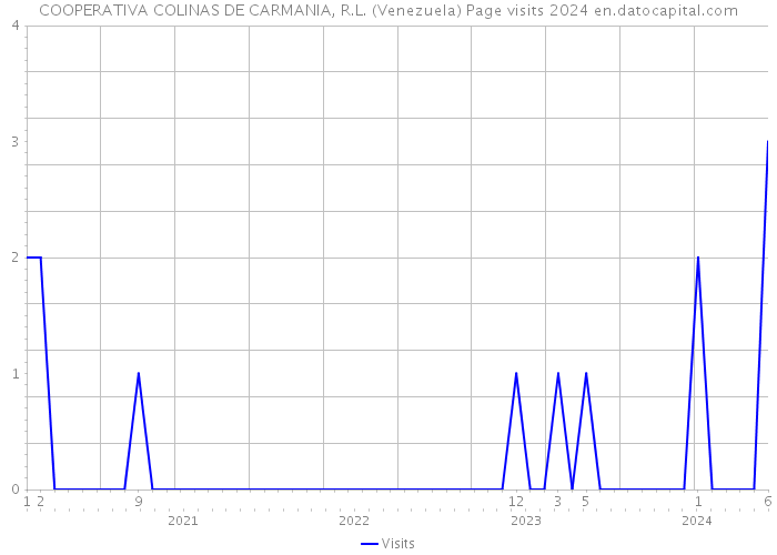 COOPERATIVA COLINAS DE CARMANIA, R.L. (Venezuela) Page visits 2024 