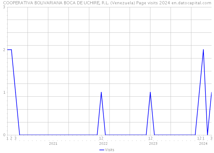 COOPERATIVA BOLIVARIANA BOCA DE UCHIRE, R.L. (Venezuela) Page visits 2024 