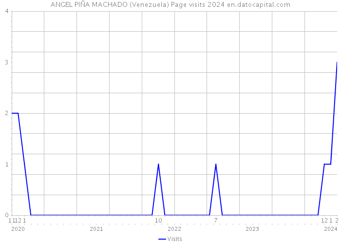 ANGEL PIÑA MACHADO (Venezuela) Page visits 2024 