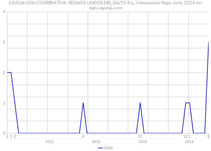 ASOCIACION COOPERATIVA VECINOS UNIDOS DEL SALTO R.L. (Venezuela) Page visits 2024 
