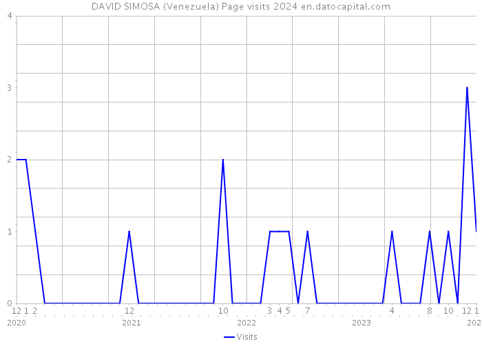 DAVID SIMOSA (Venezuela) Page visits 2024 