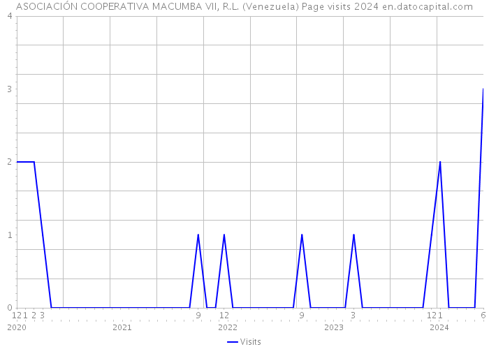 ASOCIACIÓN COOPERATIVA MACUMBA VII, R.L. (Venezuela) Page visits 2024 