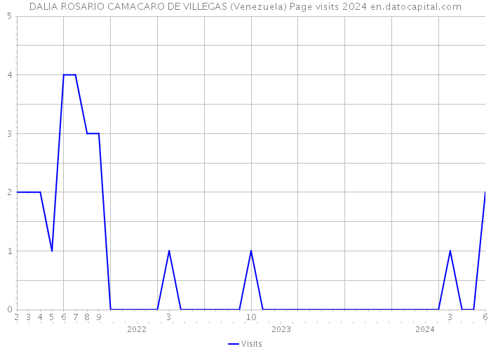 DALIA ROSARIO CAMACARO DE VILLEGAS (Venezuela) Page visits 2024 