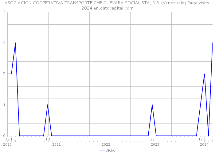 ASOCIACION COOPERATIVA TRANSPORTE CHE GUEVARA SOCIALISTA, R.S. (Venezuela) Page visits 2024 