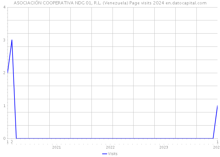 ASOCIACIÓN COOPERATIVA NDG 01, R.L. (Venezuela) Page visits 2024 