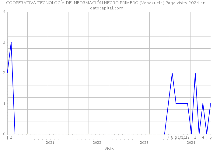 COOPERATIVA TECNOLOGÍA DE INFORMACIÓN NEGRO PRIMERO (Venezuela) Page visits 2024 