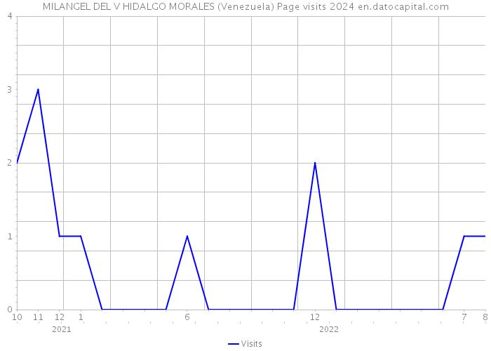 MILANGEL DEL V HIDALGO MORALES (Venezuela) Page visits 2024 