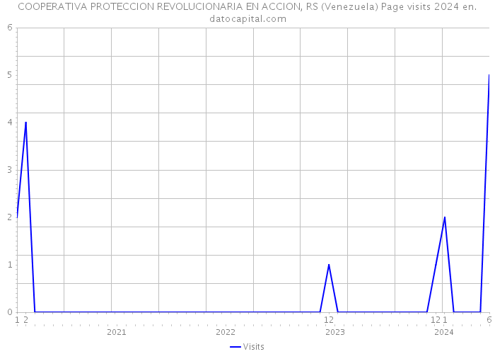 COOPERATIVA PROTECCION REVOLUCIONARIA EN ACCION, RS (Venezuela) Page visits 2024 