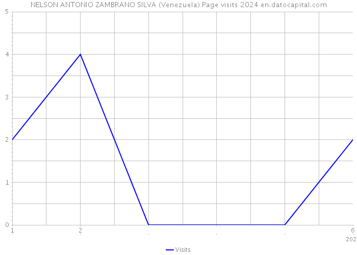 NELSON ANTONIO ZAMBRANO SILVA (Venezuela) Page visits 2024 