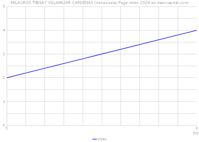 MILAGROS TIBISAY VILLAMIZAR CARDENAS (Venezuela) Page visits 2024 
