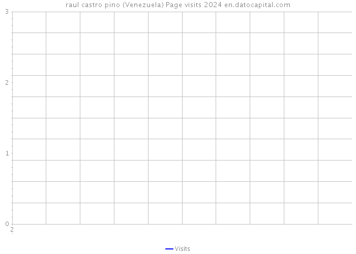 raul castro pino (Venezuela) Page visits 2024 