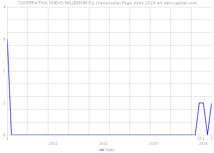 COOPERATIVA NUEVO MILLENIUM R:L (Venezuela) Page visits 2024 