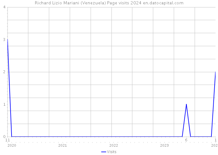 Richard Lizio Mariani (Venezuela) Page visits 2024 
