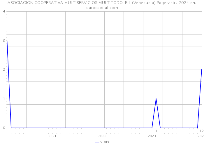 ASOCIACION COOPERATIVA MULTISERVICIOS MULTITODO, R.L (Venezuela) Page visits 2024 