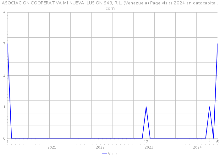 ASOCIACION COOPERATIVA MI NUEVA ILUSION 949, R.L. (Venezuela) Page visits 2024 