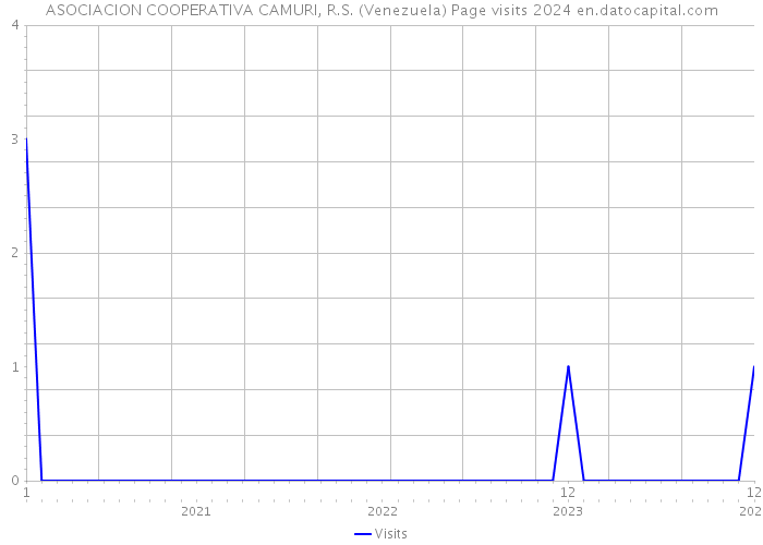 ASOCIACION COOPERATIVA CAMURI, R.S. (Venezuela) Page visits 2024 