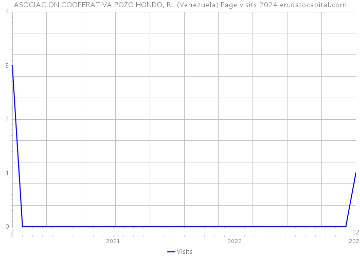 ASOCIACION COOPERATIVA POZO HONDO, RL (Venezuela) Page visits 2024 