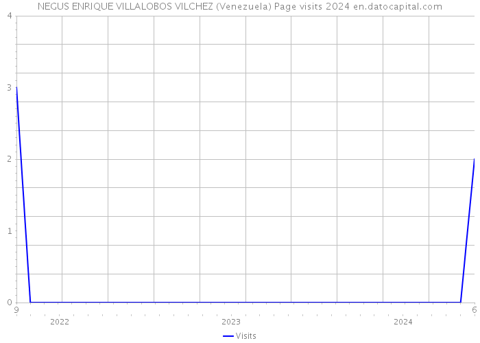 NEGUS ENRIQUE VILLALOBOS VILCHEZ (Venezuela) Page visits 2024 