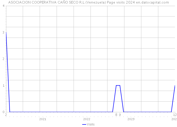 ASOCIACION COOPERATIVA CAÑO SECO R.L (Venezuela) Page visits 2024 