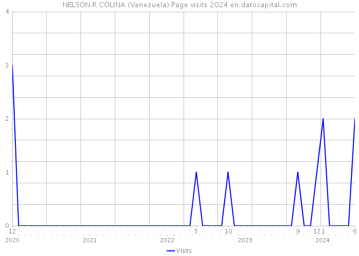NELSON R COLINA (Venezuela) Page visits 2024 