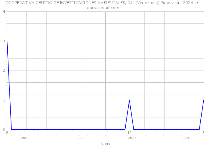 COOPERATIVA CENTRO DE INVESTIGACIONES AMBIENTALES, R.L. (Venezuela) Page visits 2024 