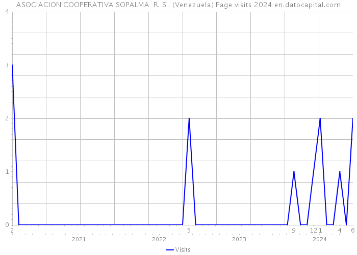 ASOCIACION COOPERATIVA SOPALMA R. S.. (Venezuela) Page visits 2024 