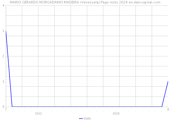 MARIO GERARDO MORGADINHO MADEIRA (Venezuela) Page visits 2024 