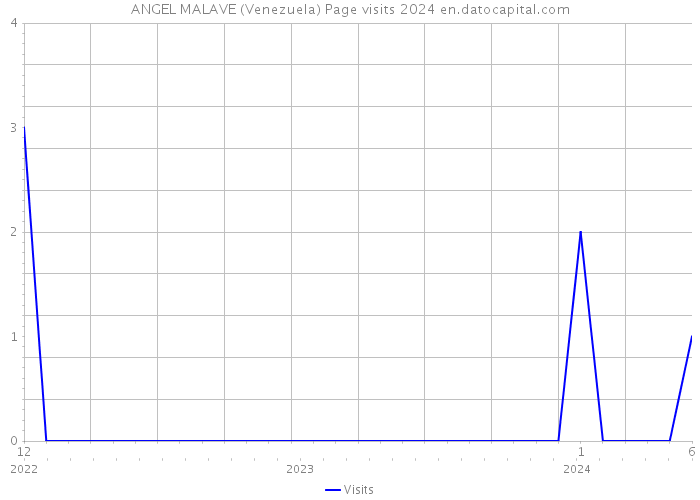 ANGEL MALAVE (Venezuela) Page visits 2024 