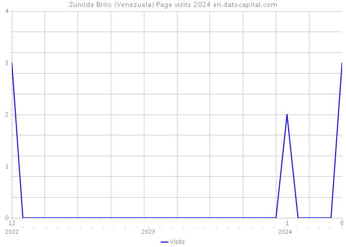 Zunilde Brito (Venezuela) Page visits 2024 