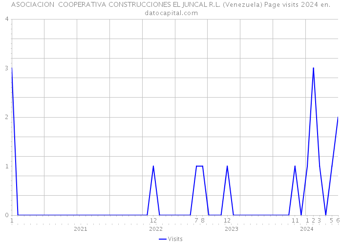 ASOCIACION COOPERATIVA CONSTRUCCIONES EL JUNCAL R.L. (Venezuela) Page visits 2024 