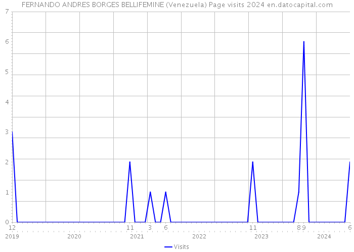 FERNANDO ANDRES BORGES BELLIFEMINE (Venezuela) Page visits 2024 