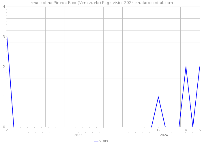 Irma Isolina Pineda Rico (Venezuela) Page visits 2024 