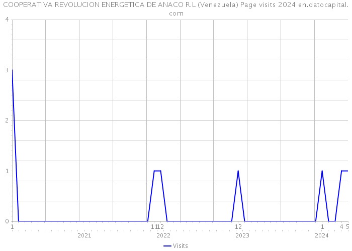COOPERATIVA REVOLUCION ENERGETICA DE ANACO R.L (Venezuela) Page visits 2024 