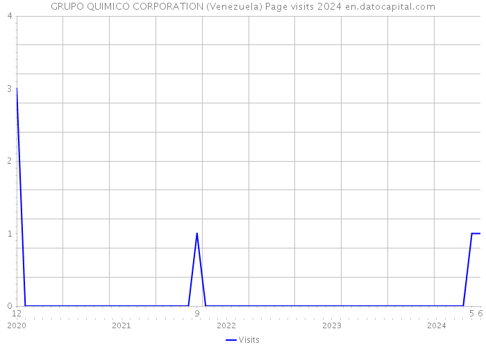 GRUPO QUIMICO CORPORATION (Venezuela) Page visits 2024 