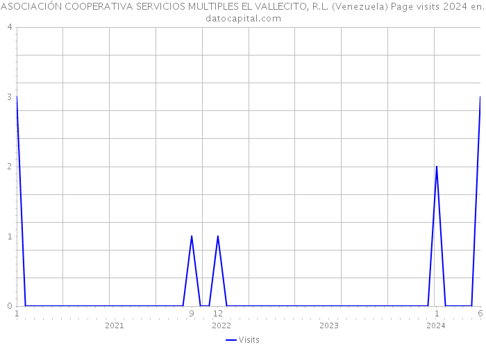 ASOCIACIÓN COOPERATIVA SERVICIOS MULTIPLES EL VALLECITO, R.L. (Venezuela) Page visits 2024 