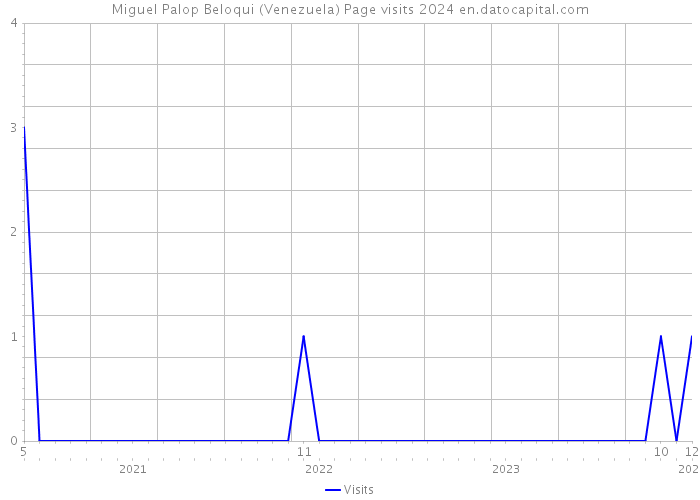 Miguel Palop Beloqui (Venezuela) Page visits 2024 