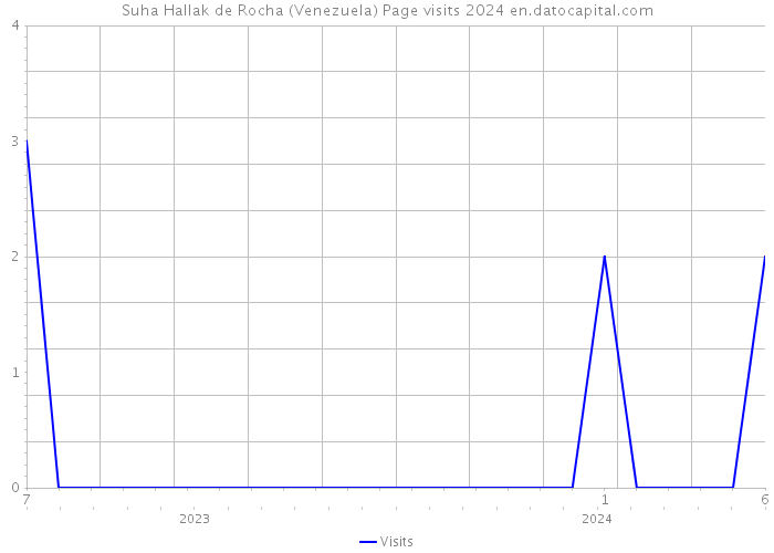 Suha Hallak de Rocha (Venezuela) Page visits 2024 